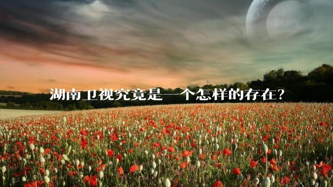 湖南卫视究竟是一个怎样的存在？