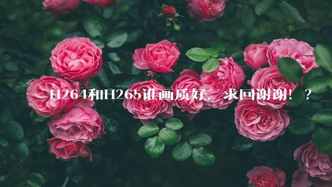H264和H265谁画质好，求回谢谢！？