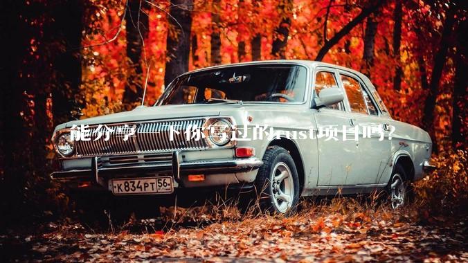 能分享一下你写过的rust项目吗？