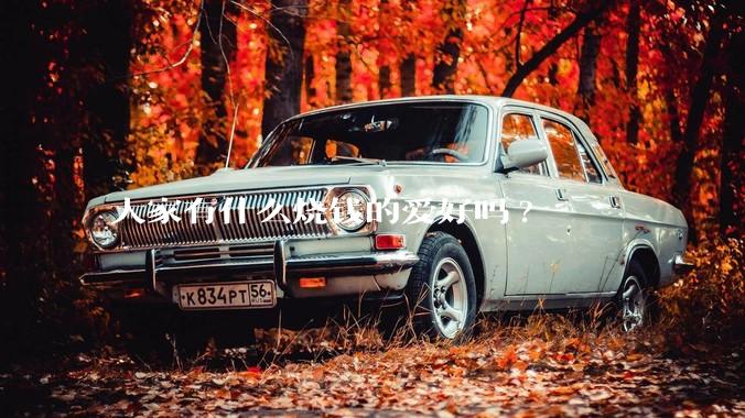 大家有什么烧钱的爱好吗?