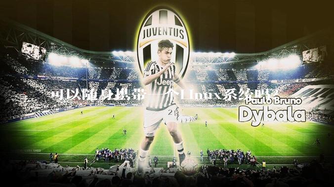 可以随身携带一个Linux系统吗？