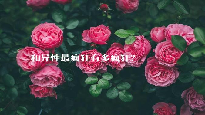 和异性最疯狂有多疯狂？